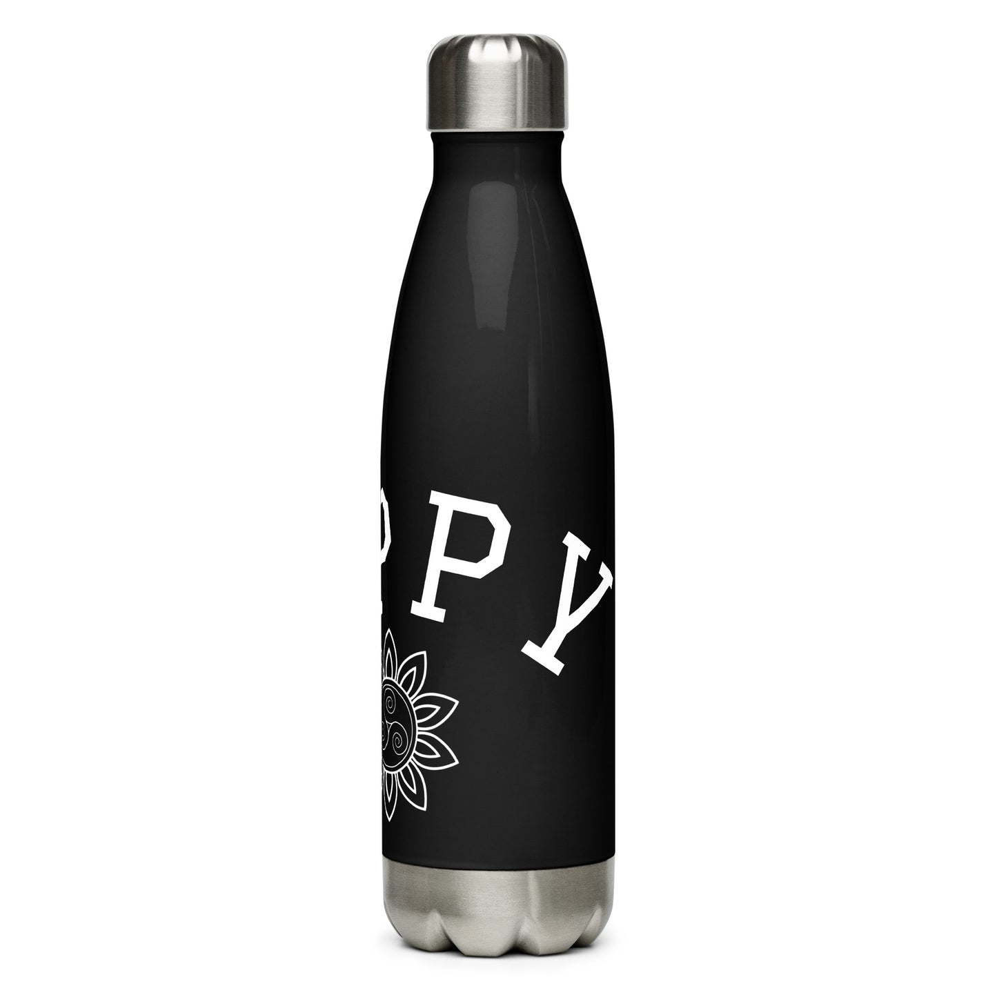 Stainless steel water bottle